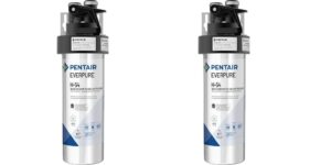 Everpure water filtration systems